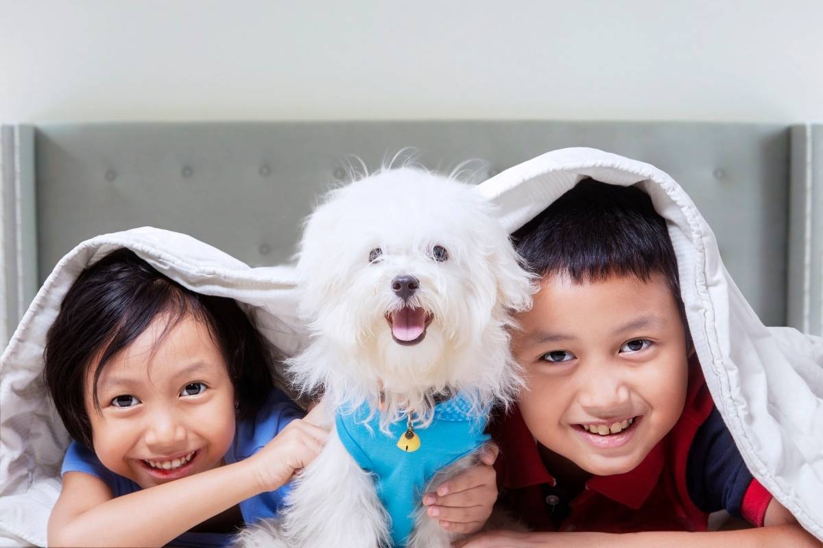 Arredamento per una casa con bambini e animali domestici